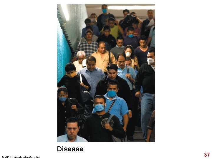 Disease © 2014 Pearson Education, Inc. 37 