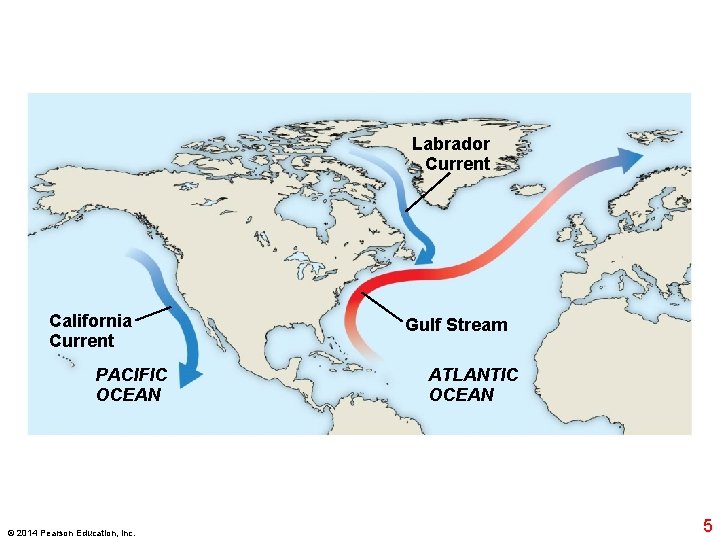 Labrador Current California Current PACIFIC OCEAN © 2014 Pearson Education, Inc. Gulf Stream ATLANTIC