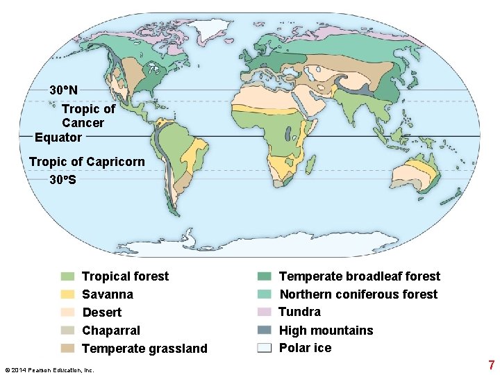 30 N Tropic of Cancer Equator Tropic of Capricorn 30 S Tropical forest Savanna