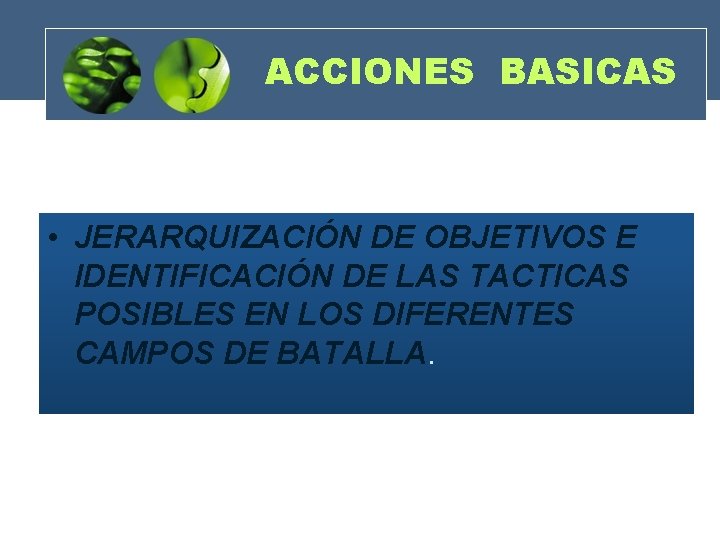 ACCIONES BASICAS • JERARQUIZACIÓN DE OBJETIVOS E IDENTIFICACIÓN DE LAS TACTICAS POSIBLES EN LOS