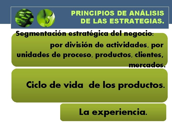 PRINCIPIOS DE ANÁLISIS DE LAS ESTRATEGIAS. Segmentación estratégica del negocio: por división de actividades,
