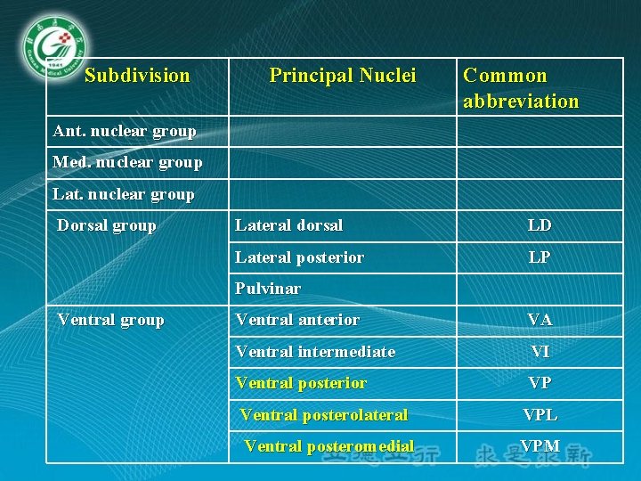 Subdivision Principal Nuclei Common abbreviation Ant. nuclear group Med. nuclear group Lat. nuclear group