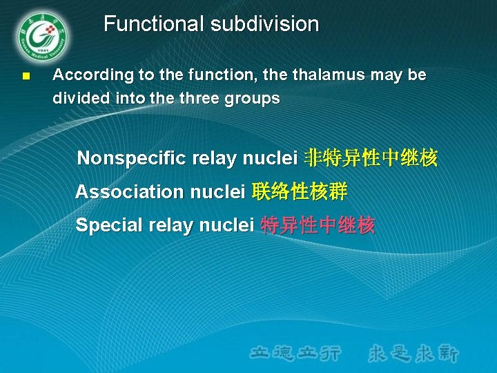 Functional subdivision n According to the function, the thalamus may be divided into the Functional subdivision n According to the function, the thalamus may be divided into the