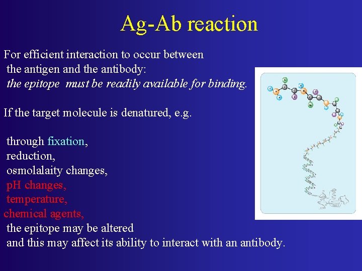Ag-Ab reaction For efficient interaction to occur between the antigen and the antibody: the