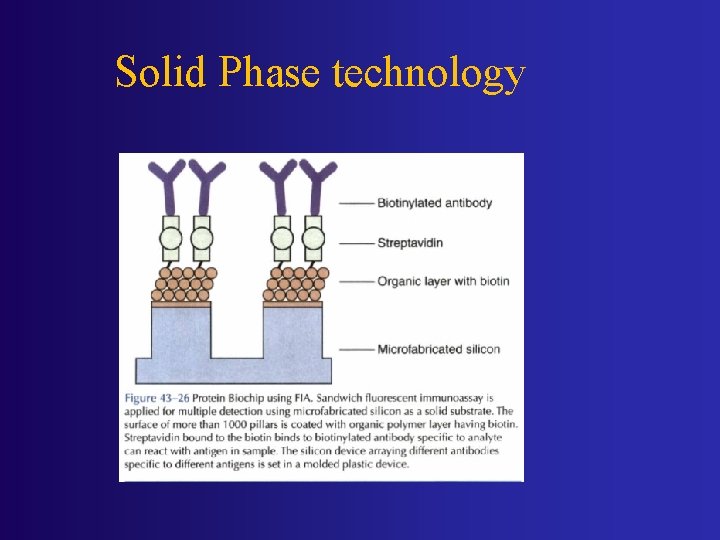 Solid Phase technology 