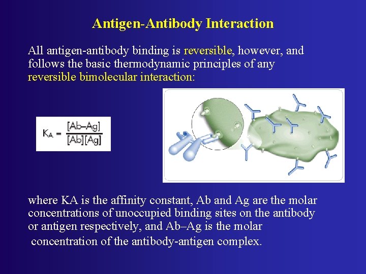 Antigen-Antibody Interaction All antigen-antibody binding is reversible, however, and follows the basic thermodynamic principles