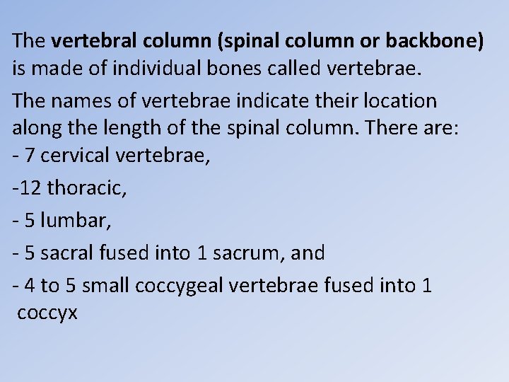 The vertebral column (spinal column or backbone) is made of individual bones called vertebrae.