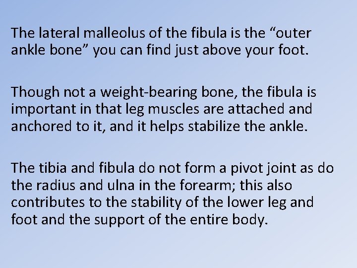 The lateral malleolus of the fibula is the “outer ankle bone” you can find