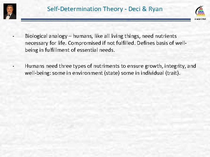 Self-Determination Theory - Deci & Ryan Anvari. Net - Biological analogy – humans, like