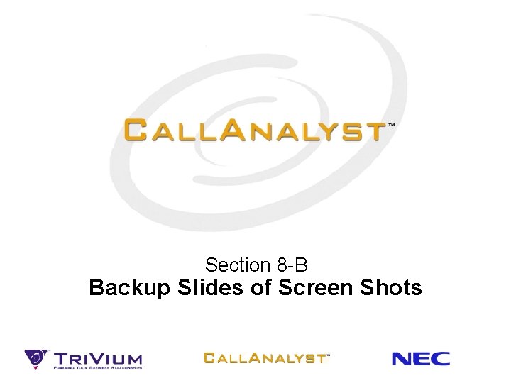 Section 8 -B Backup Slides of Screen Shots 