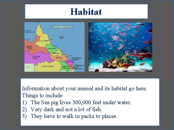 Habitat Information about your animal and its habitat go here. Things to include 1)