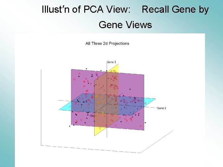 Illust’n of PCA View: Recall Gene by Gene Views 