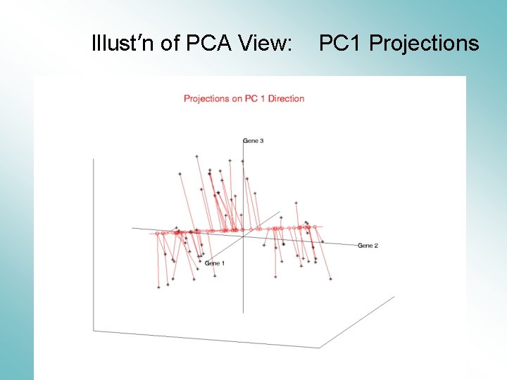 Illust’n of PCA View: PC 1 Projections 