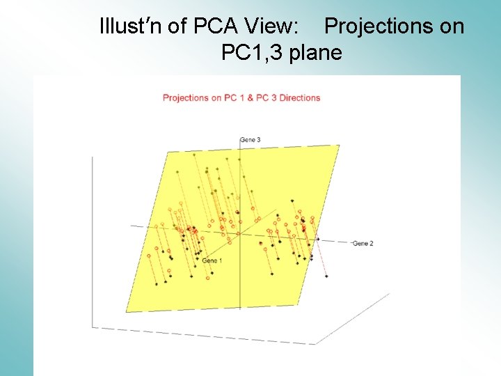 Illust’n of PCA View: Projections on PC 1, 3 plane 