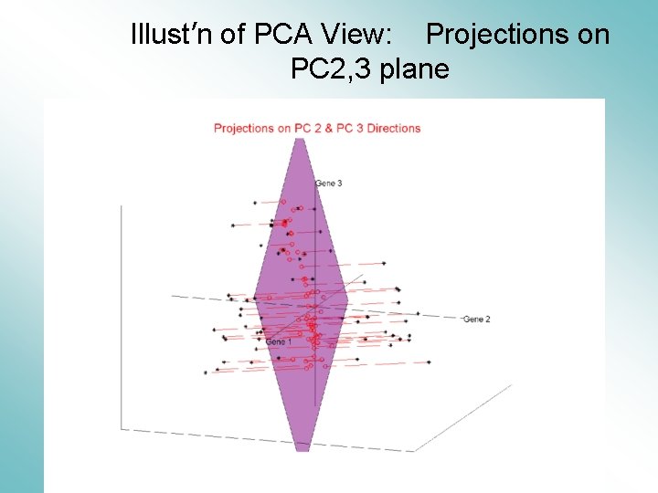 Illust’n of PCA View: Projections on PC 2, 3 plane 