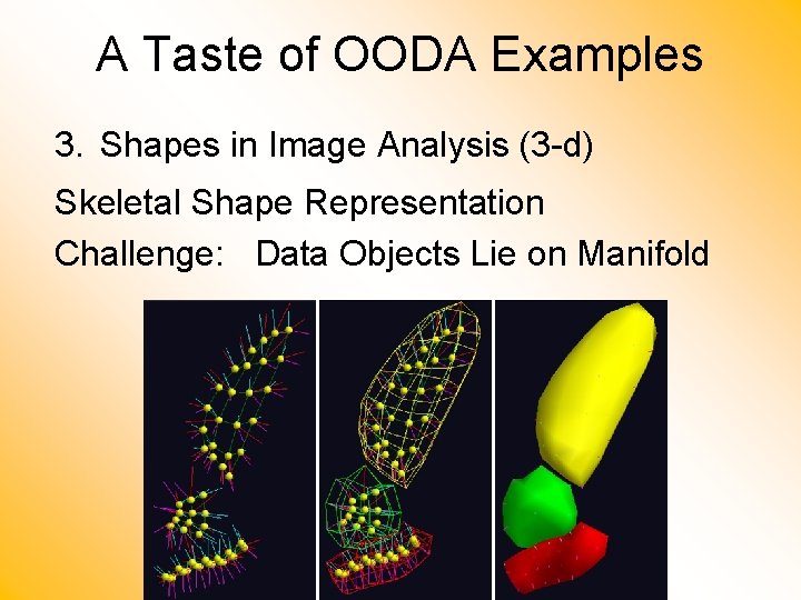 A Taste of OODA Examples 3. Shapes in Image Analysis (3 -d) Skeletal Shape