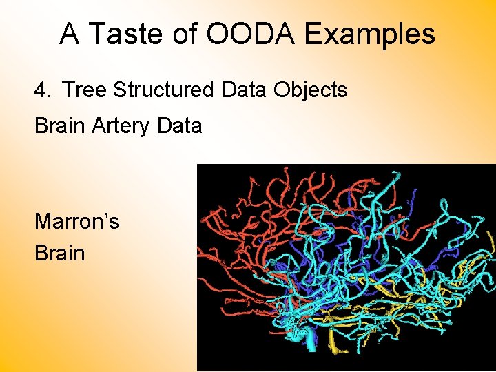 A Taste of OODA Examples 4. Tree Structured Data Objects Brain Artery Data Marron’s