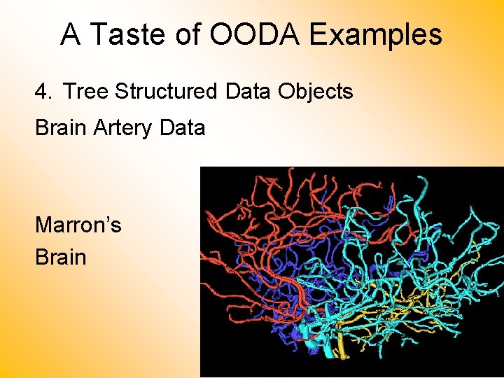 A Taste of OODA Examples 4. Tree Structured Data Objects Brain Artery Data Marron’s
