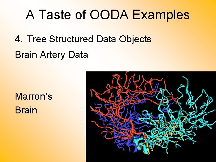 A Taste of OODA Examples 4. Tree Structured Data Objects Brain Artery Data Marron’s