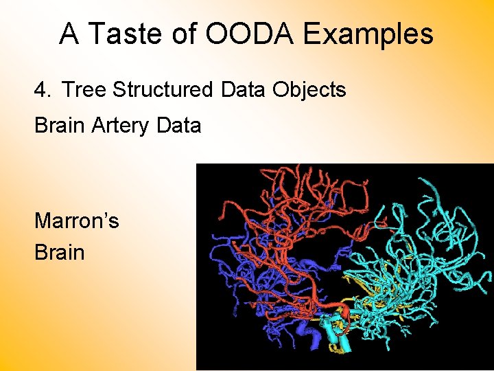 A Taste of OODA Examples 4. Tree Structured Data Objects Brain Artery Data Marron’s