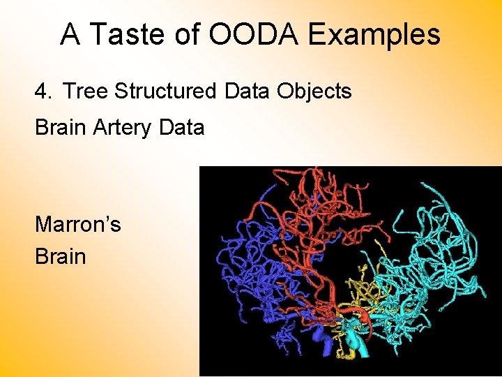 A Taste of OODA Examples 4. Tree Structured Data Objects Brain Artery Data Marron’s