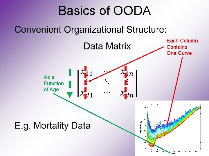 Basics of OODA Each Column Contains One Curve As a Function of Age 