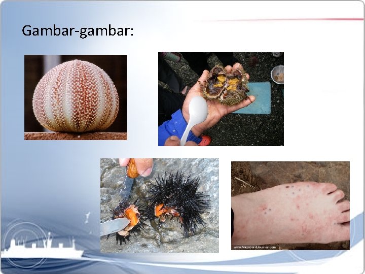 Gambar-gambar: 