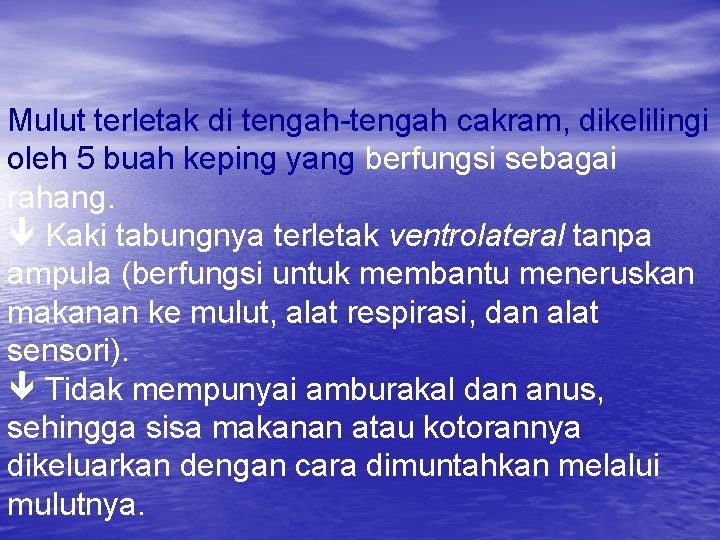 Mulut terletak di tengah-tengah cakram, dikelilingi oleh 5 buah keping yang berfungsi sebagai rahang.