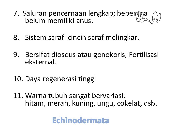 7. Saluran pencernaan lengkap; beberapa belum memiliki anus. 8. Sistem saraf: cincin saraf melingkar.