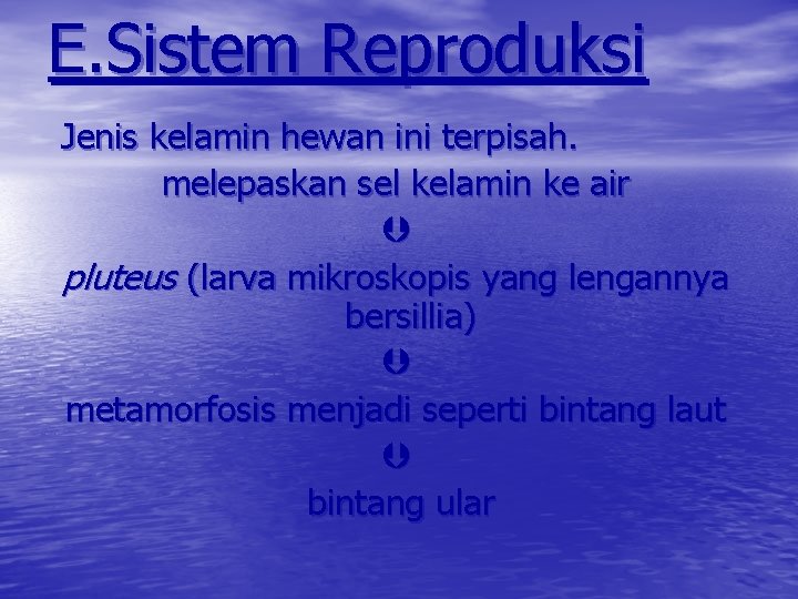 E. Sistem Reproduksi Jenis kelamin hewan ini terpisah. melepaskan sel kelamin ke air pluteus