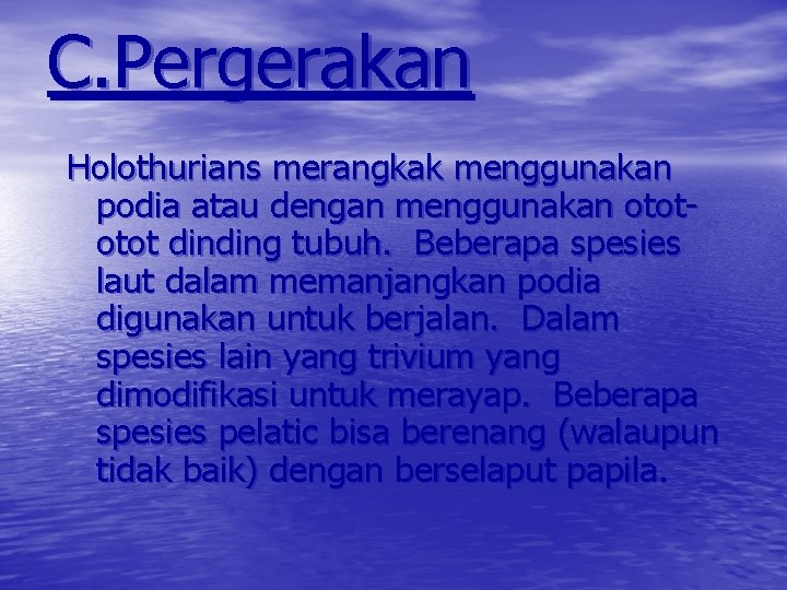 C. Pergerakan Holothurians merangkak menggunakan podia atau dengan menggunakan otot dinding tubuh. Beberapa spesies