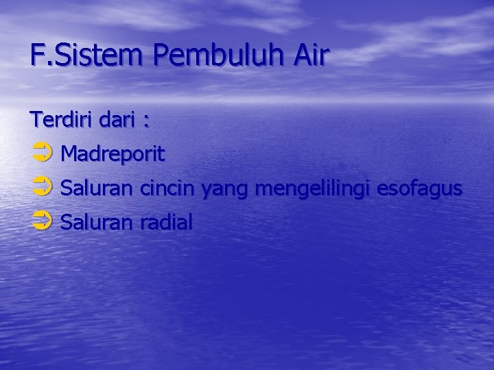 F. Sistem Pembuluh Air Terdiri dari : Madreporit Saluran cincin yang mengelilingi esofagus Saluran