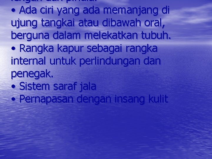 lengan dan pinula. • Ada ciri yang ada memanjang di ujung tangkai atau dibawah