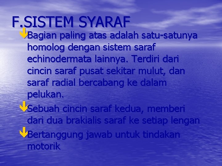 F. SISTEM SYARAF Bagian paling atas adalah satu-satunya homolog dengan sistem saraf echinodermata lainnya.