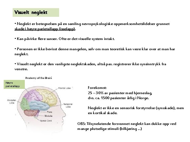 Visuelt neglekt • Neglekt er betegnelsen på en samling nevropsykologiske oppmerksomhetslidelser grunnet skade i