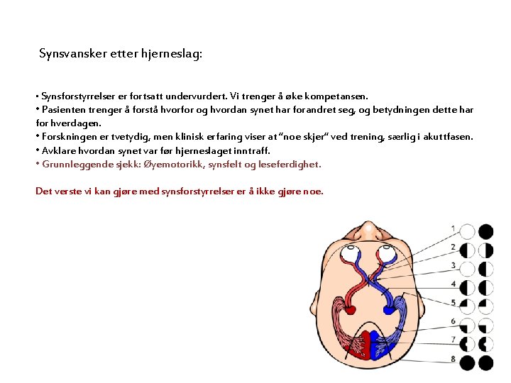 Synsvansker etter hjerneslag: • Synsforstyrrelser er fortsatt undervurdert. Vi trenger å øke kompetansen. •