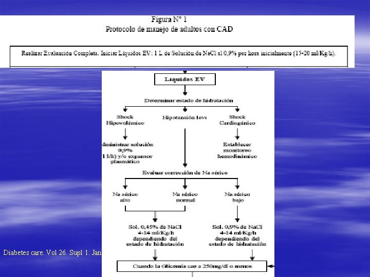 Diabetes care. Vol 26. Supl 1. Jan 2003. 