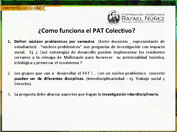 ¿Como funciona el PAT Colectivo? 1. Definir núcleos problemicos por semestre (Entre docentes ,