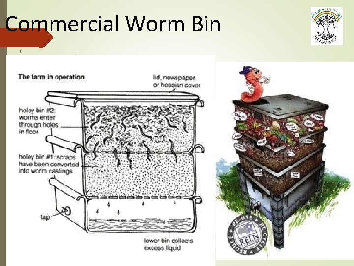 Commercial Worm Bin © Greg Meyer Seminars P/L g. meyer@bigpond. net. au www. permacutluresydneywest.