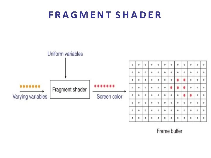 FRAGMENT SHADER 