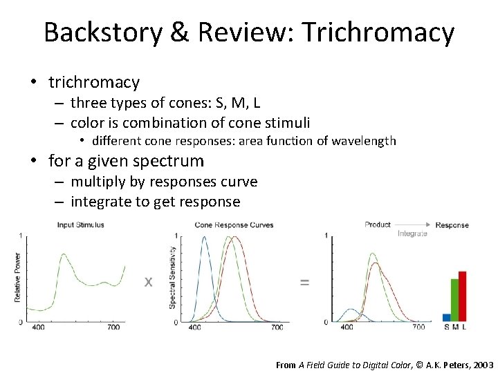 Backstory & Review: Trichromacy • trichromacy – three types of cones: S, M, L