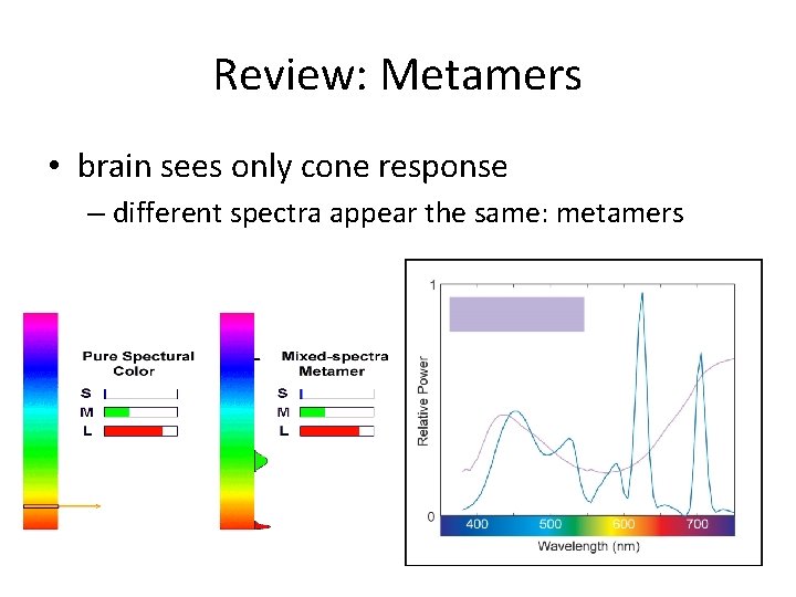 Review: Metamers • brain sees only cone response – different spectra appear the same: