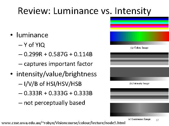 Review: Luminance vs. Intensity • luminance – Y of YIQ – 0. 299 R