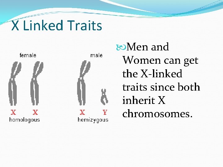 X Linked Traits Men and Women can get the X-linked traits since both inherit