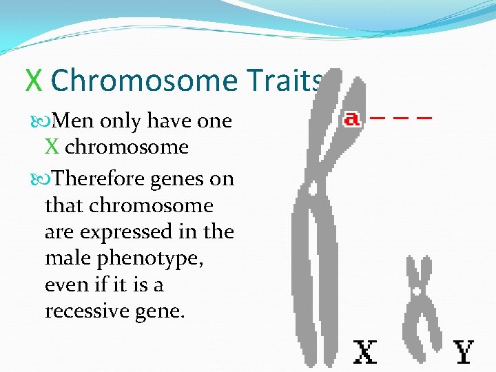 X Chromosome Traits Men only have one X chromosome Therefore genes on that chromosome