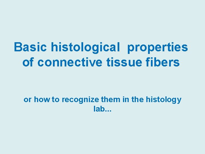 Basic histological properties of connective tissue fibers or how to recognize them in the