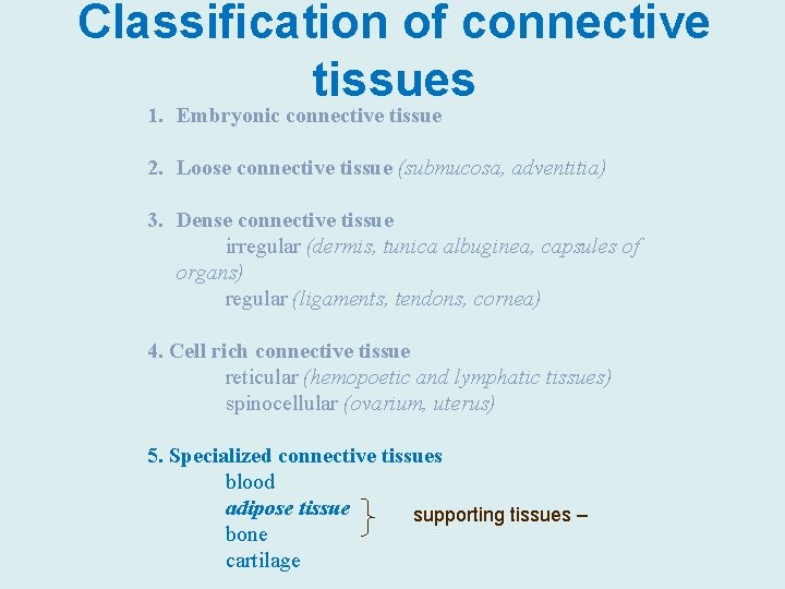 Classification of connective tissues 1. Embryonic connective tissue 2. Loose connective tissue (submucosa, adventitia)