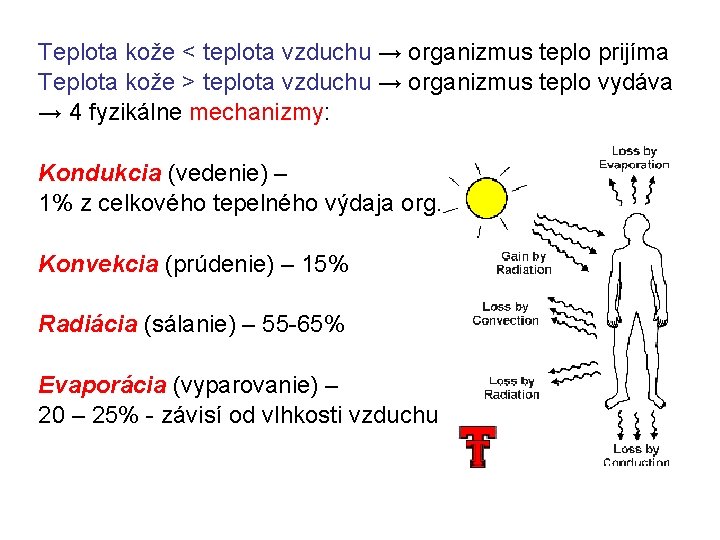 Teplota kože < teplota vzduchu → organizmus teplo prijíma Teplota kože > teplota vzduchu