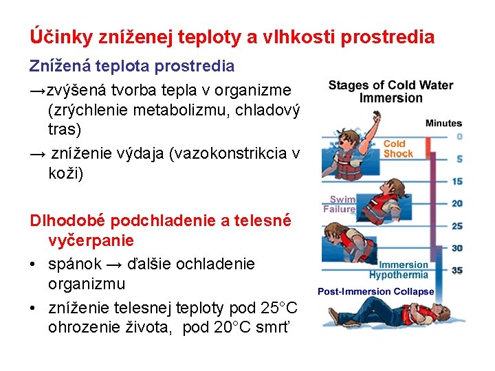 Účinky zníženej teploty a vlhkosti prostredia Znížená teplota prostredia →zvýšená tvorba tepla v organizme