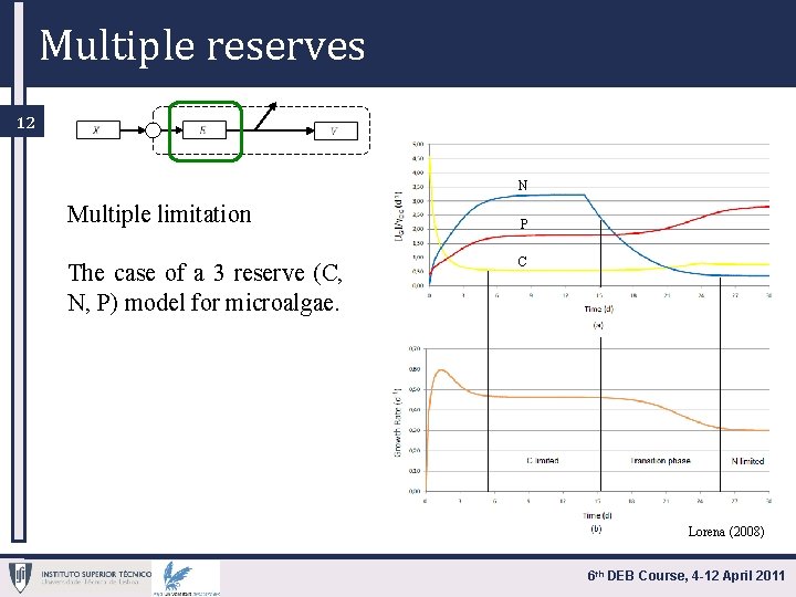 Multiple reserves 12 N Multiple limitation The case of a 3 reserve (C, N,